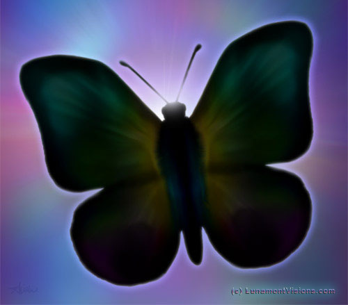 A Flower's View