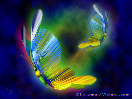 Butterflies
