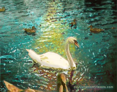 Swans on a Lake